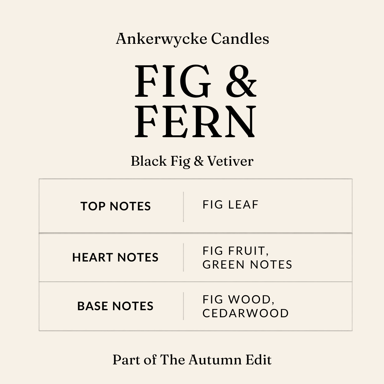 Fig & Fern